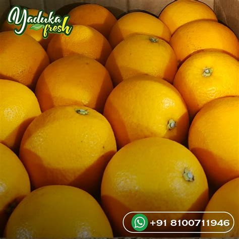 A Grade Imported Malta Orange Packaging Size 15 Kg Packaging Type
