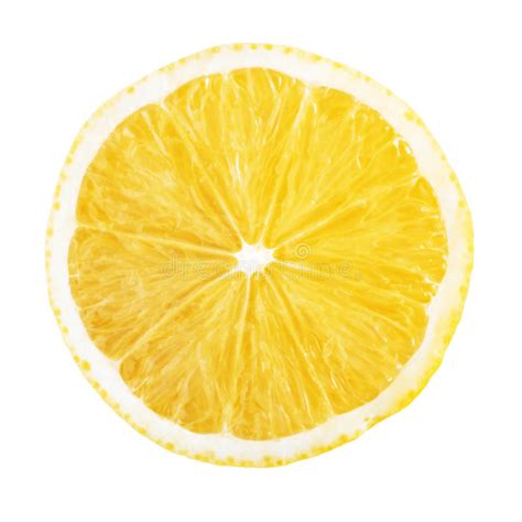 Slice Of Lemon Isolated On White Background Stock Image Image Of