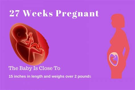 27 Weeks Pregnant Symptoms And The Mothers Body Changes