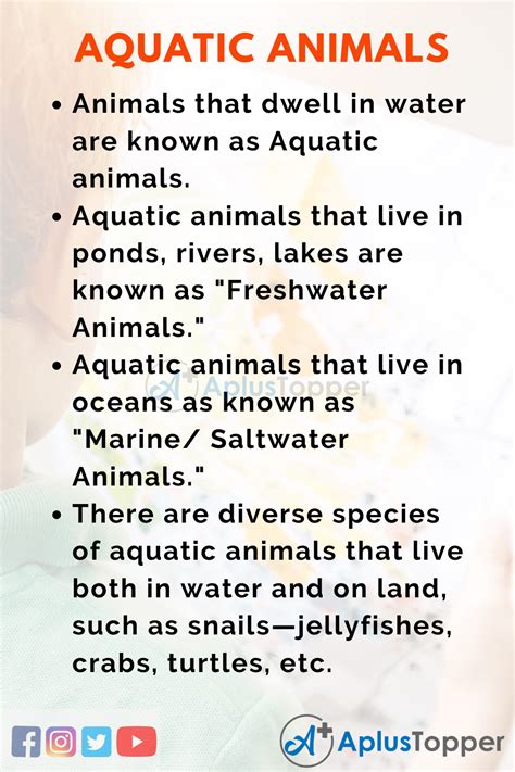 Top 10 Smallest Aquatic Animals Clipart