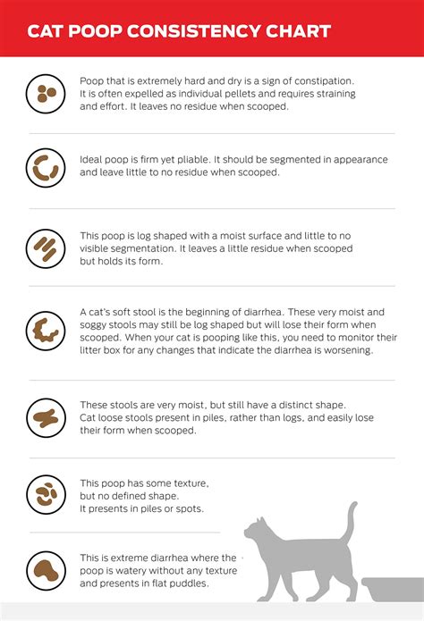 Guide To Types Of Cat Poop Color And Consistency Chart Purina Us