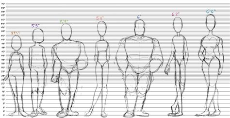 Animeoutline provides easy to follow anime and manga style drawing tutorials and tips for beginners. (8) Tumblr | Drawing reference, Drawing skills, Manga drawing