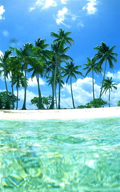 Free Download Tropical Beaches Wallpapers 2560x1920 For Your Desktop