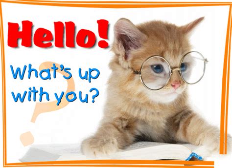 Whats Up With You Free Hi Hello Ecards Greeting Cards 123 Greetings