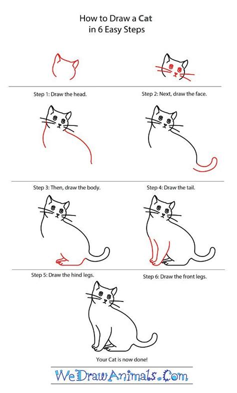 Learn To Draw A Cat Drawing Tutorial Cat Drawing Tutorial Cats Art