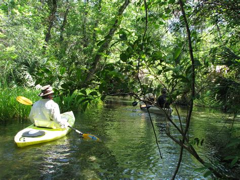 Silver springs state park is 10 mi (16.1 km) away. Escape-City.com • View topic - Ocala National Park, FL