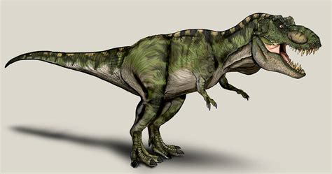 Jurassic Park T Rex Male By Nikorex On Deviantart