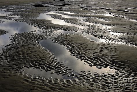 Rippled Sand Photograph By John Shaw Fine Art America