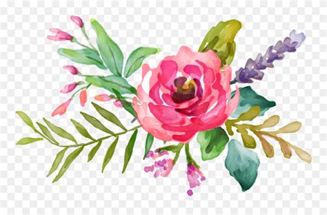 Download Water Color Clipart Flower Accent Vector Pink Watercolor