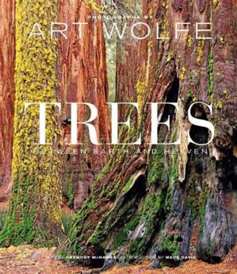 Trees By Art Wolfe 9781683839262 Harry Hartog Bookseller