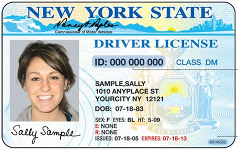 Document Number On Drivers License New York Docs