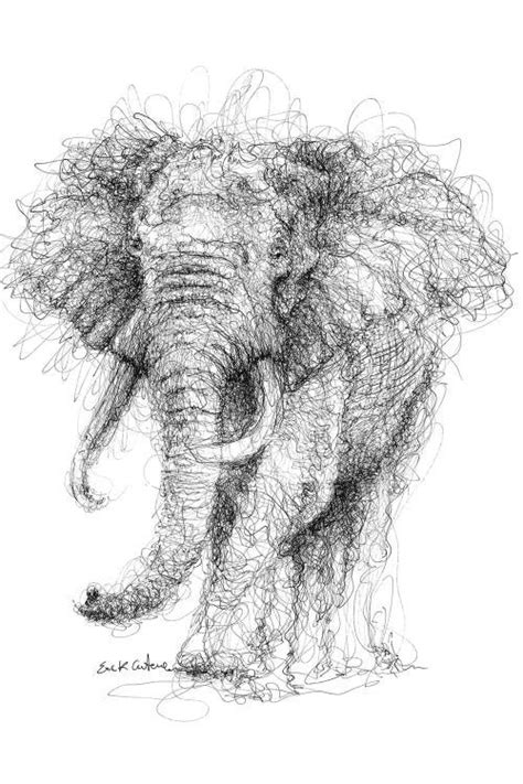 Elephant Canvas Print By Erick Centeno Icanvas Scribble Drawings