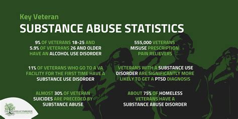 Finding Help For Veterans With Substance Abuse Woods At Parkside