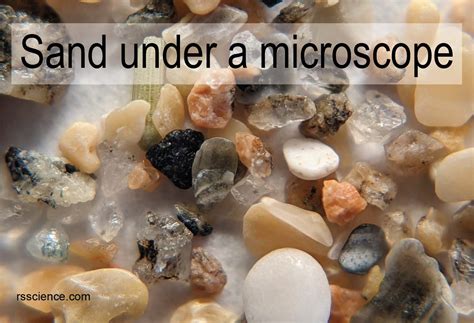 Sand Under A Microscope Rs Science