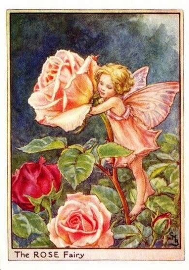 Rose Flower Fairy Flower Fairy Prints