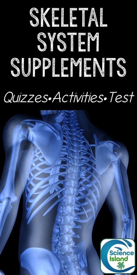 Skeletal System Supplements Distance Learning Human Anatomy And