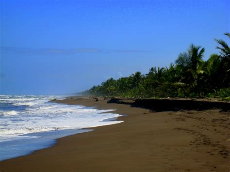 Playa Tortuguero