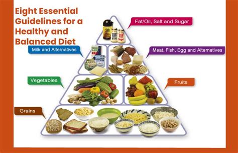 Balanced Diet Balance Meals And Guidelines For Healthy Diet 2020