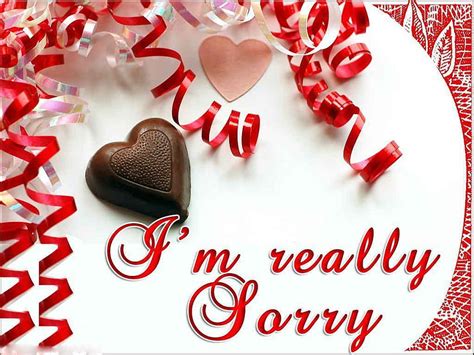 Sorry And Im Sorry Quotes With Sorry Sorry For Love HD Wallpaper Pxfuel