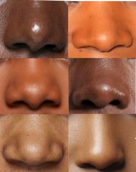 Nose Drawing Reference Nose Drawing Reference Photos For Artists Face Drawing Reference