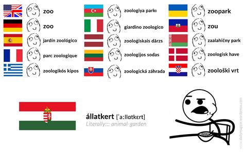 hungary meme 25 best memes about hungarian people hungarian people memes be friendly to