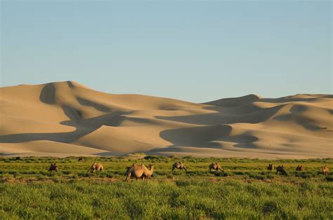 Gobi Desert In Asia Everything You Need To Know Traveladvo