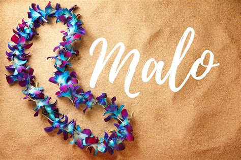 What Does The Hawaiian Word Malo Mean Hawaii Star