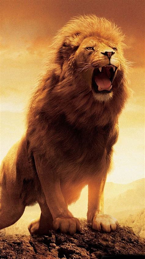 Roaring Lion Pictures