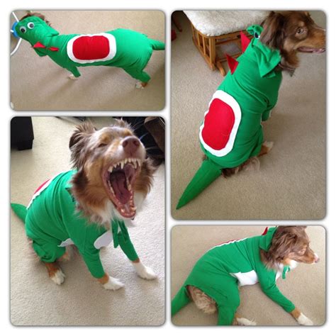 Cool Diy Yoshi Dog Costume Article Apps And Services Blog