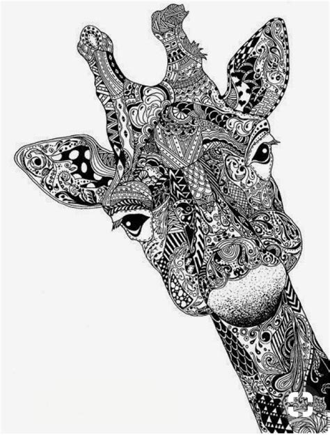 Pin By Lisa Martin On Art Traceable Giraffe Illustration Zentangle