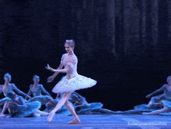 Swan Lake Quote GIFs Get The Best GIF On GIPHY