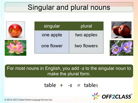 Singular And Plural Regular Nouns Free Esl Lesson Plan Lesson Plan