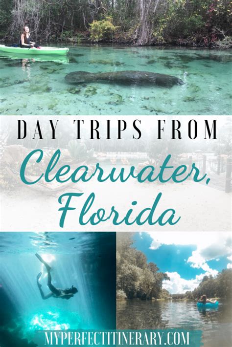 Fun Day Trips From Clearwater Beach Florida Locals Guide