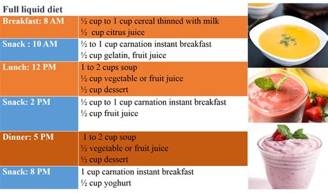 Sample Diet Full Liquid Diet