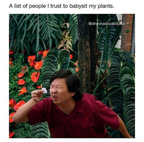 60 Plant Memes For You To Dig Through Plant Jokes Gardening Memes
