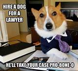 Pictures of Lawyer Dog Meme