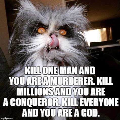 Evil Cat Memes Imgflip