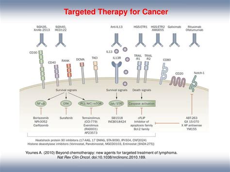 Ppt Relapse In Diffuse Large B Cell Lymphoma Treatments Powerpoint