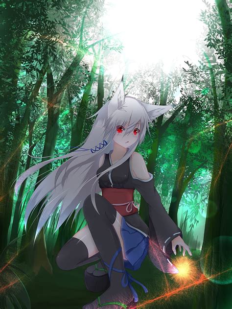 Anime Girl With White Wolf Ears And Tail