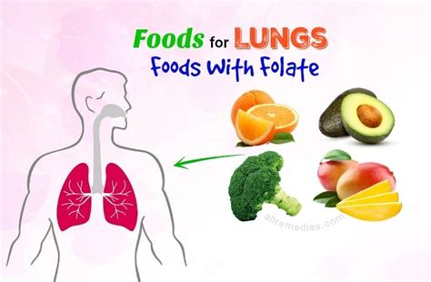 Top 45 Super Foods For Lungs Health And Detox That Work Wonders