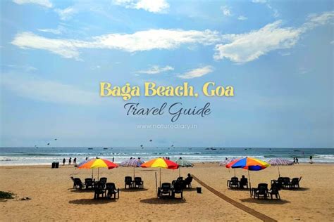 Baga Beach Goa Explore Everything Before You Go