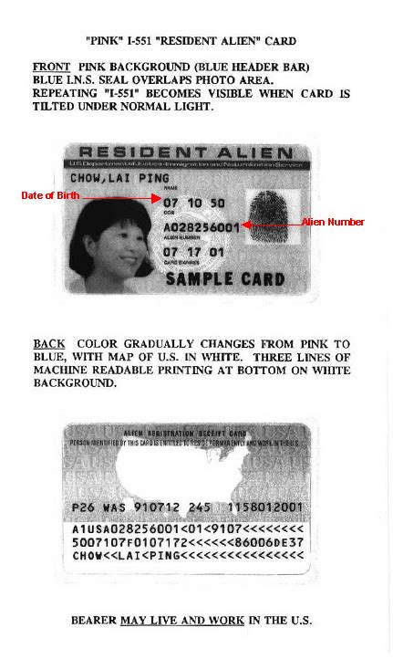 What is alien registration number (alien number)? 522_Appendix B