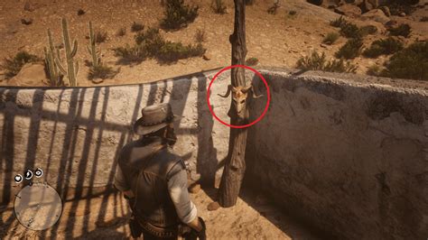 Red Dead Redemption 2 Secret Hats And Masks Locations Guide