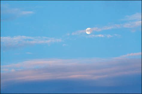 The Moon In The Early Morning Sky Photograph By Christopher Crawford
