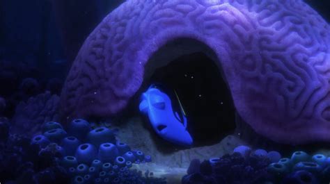 Finding Dory The Reef In Real Life Be A Fun Mum