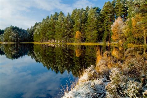 4555798 Fall Calm Lake Water Mist Shrubs Reflection