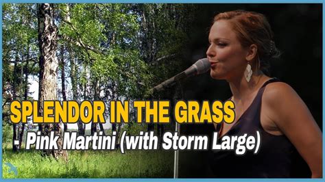 Pink Martini With Storm Large Splendor In The Grass 2011 Youtube