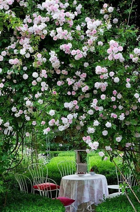 Rosegarden Examples Beautiful Gardens Dream Garden Cottage Garden
