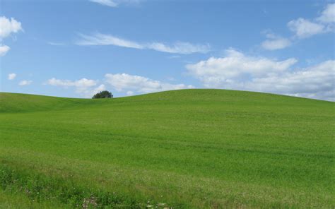 Windows Xp Green Wallpaper Cosminyt More Wallpapers Posted By