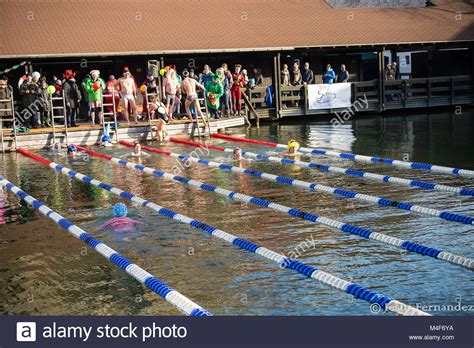 Swimmers In Costume Take Part In A Swimming Competition Stock Photo Alamy
